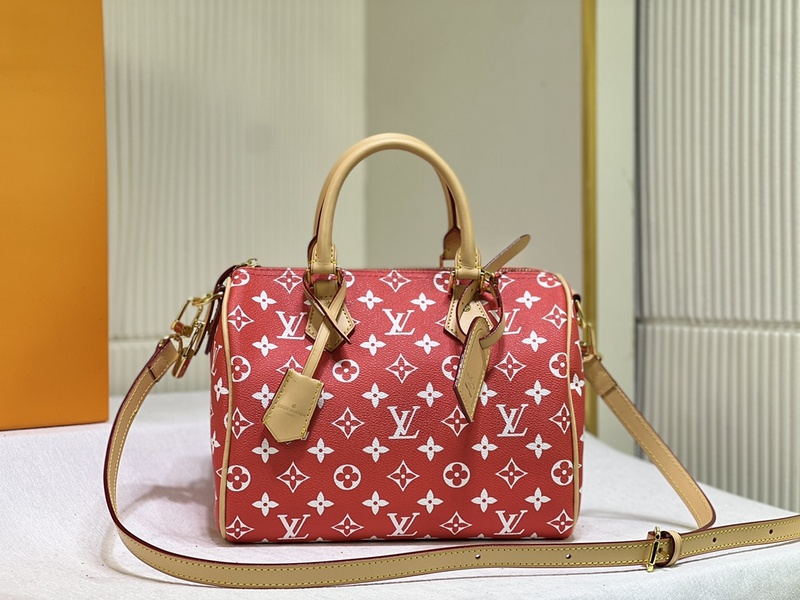 LV Handbags 214